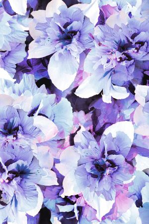 炫彩印花华亿平台图片