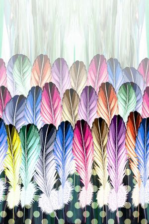 羽毛印花华亿平台图片