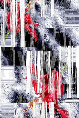 男女泳装印花华亿平台图片