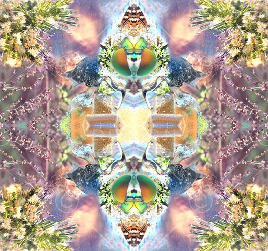 鸟 蝴蝶 昆虫 树木 花草 人像 镜像印花华亿平台图片