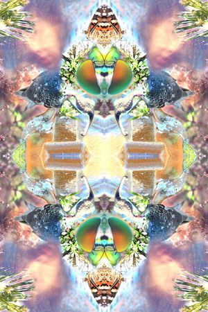 鸟 蝴蝶 昆虫 树木 花草 人像 镜像印花华亿平台图片