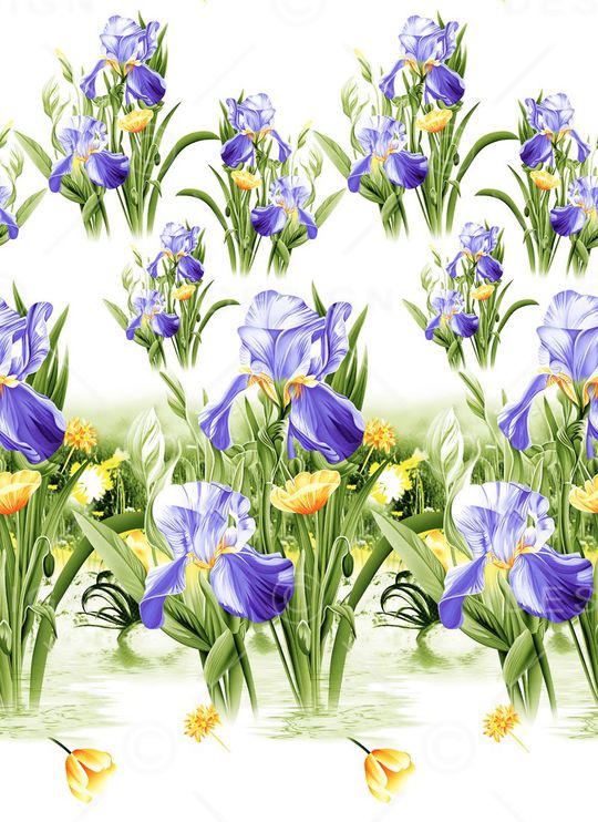 蝴蝶兰印花华亿平台图片