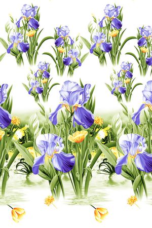 蝴蝶兰印花华亿平台图片