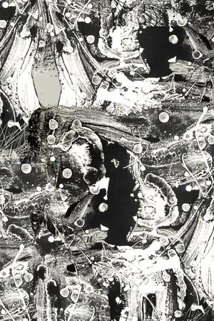 潮流印花华亿平台图片