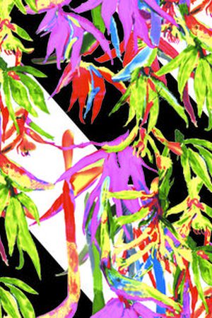 欧美印花华亿平台图片