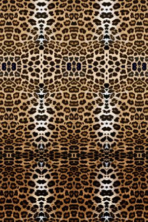 动物纹印花华亿平台图片