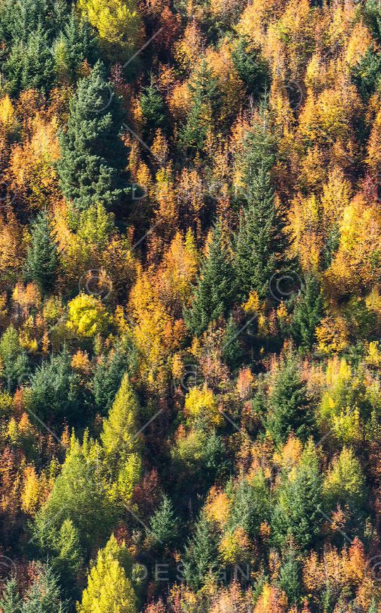 迷彩印花华亿平台图片