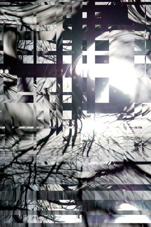 衬衫卫衣印花华亿平台图片