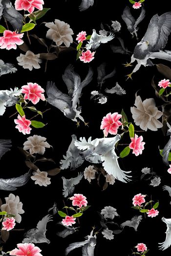 397955-随风而逝大红鹰花卉