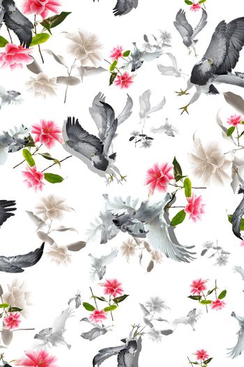 397956-随风而逝大红鹰花卉