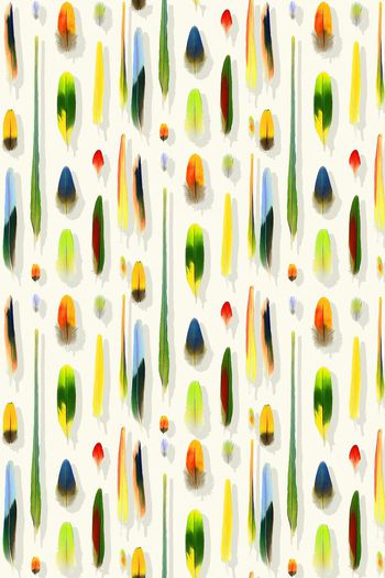 397957-手绘多彩羽毛