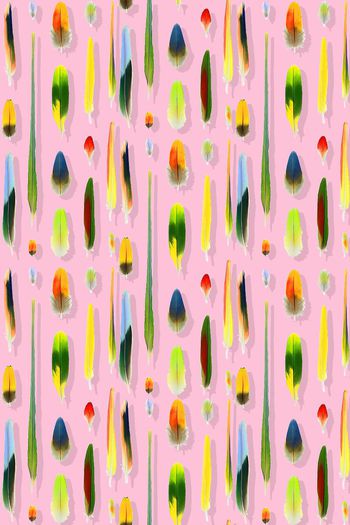 397959-手绘多彩羽毛