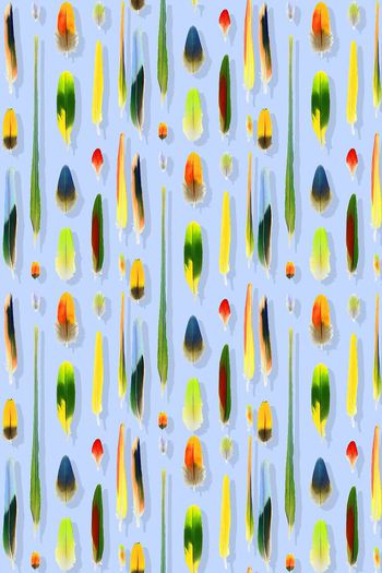 397960-手绘多彩羽毛