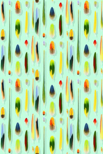 397961-手绘多彩羽毛