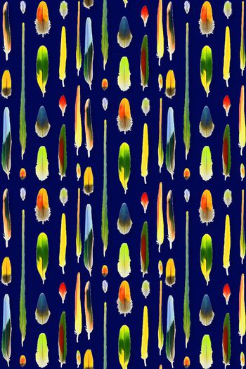 397962-手绘多彩羽毛