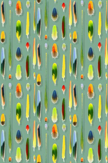 397964-手绘多彩羽毛