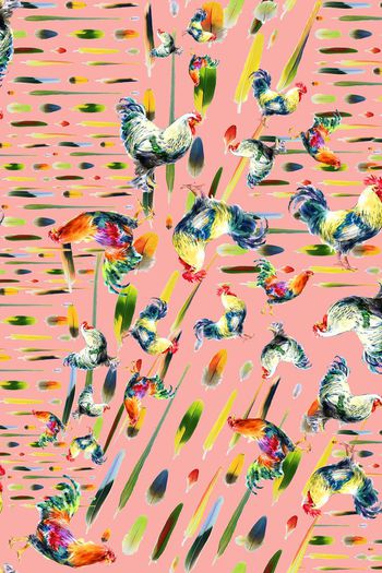 397970-手绘多彩鸡毛大公鸡