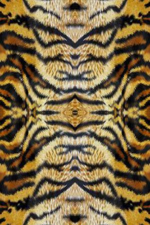 动物纹印花华亿平台图片