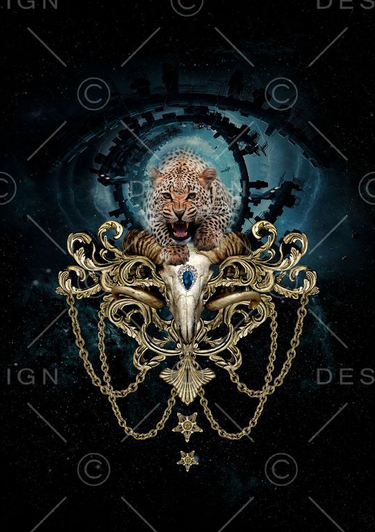 豹子印花华亿平台图片