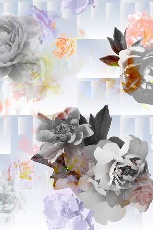 复古 经典印花华亿平台图片