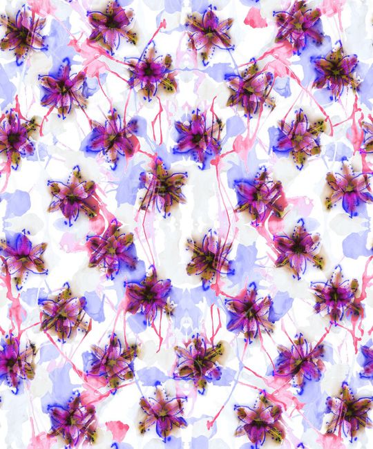 花卉 泼墨 叠加印花华亿平台图片