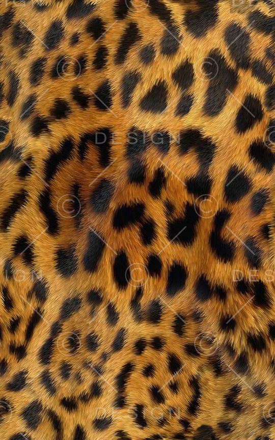 豹纹印花华亿平台图片