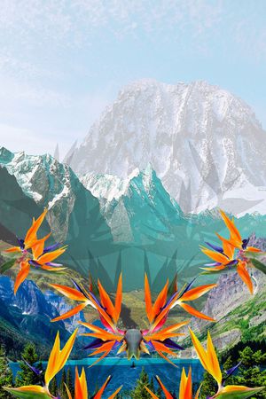 风景印花华亿平台图片