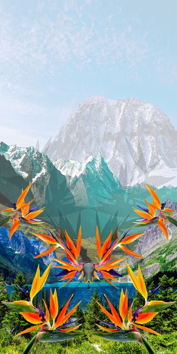 风景印花华亿平台图片