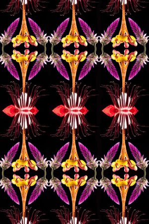 服装印花华亿平台图片