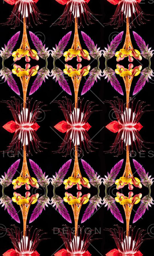 服装印花华亿平台图片