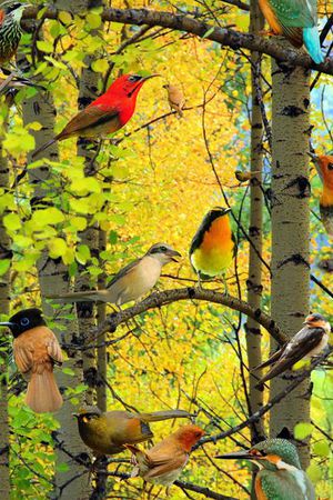 写意印花华亿平台图片