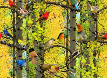 写意印花华亿平台图片