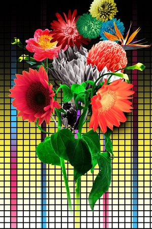 格子渐变底纹加大花印花华亿平台图片