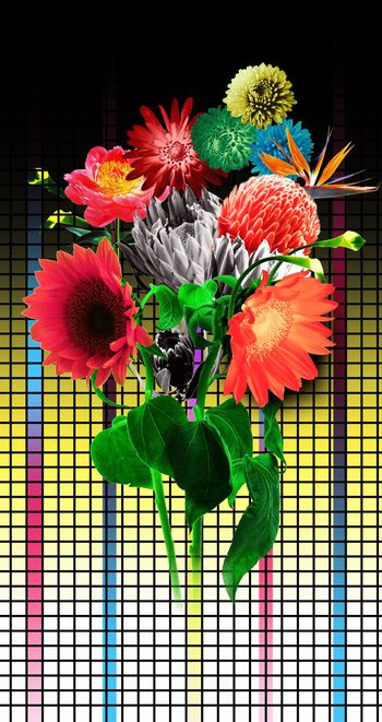 398924-格子渐变底纹加大花