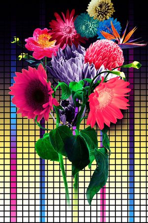 甜美 清新印花华亿平台图片