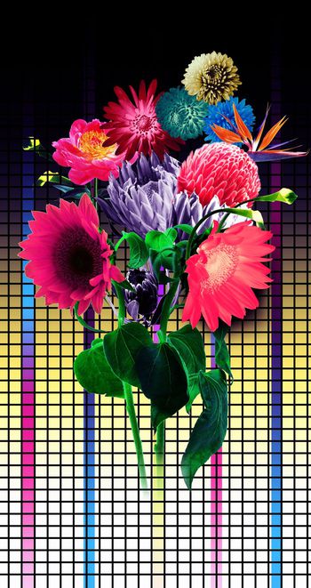 398925-格子渐变底纹加大花