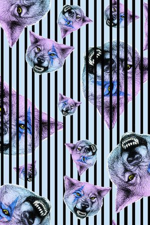 狼头印花华亿平台图片