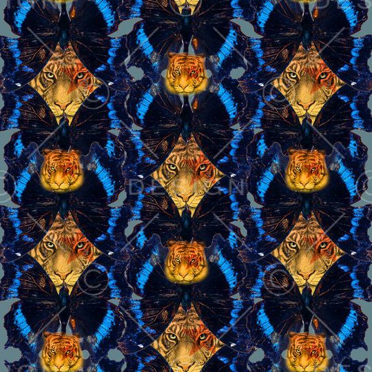 蝴蝶印花华亿平台图片