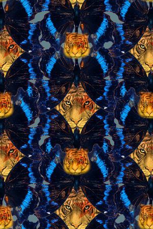 蝴蝶印花华亿平台图片