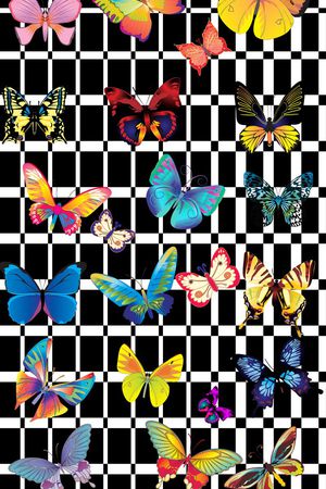 格子印花华亿平台图片