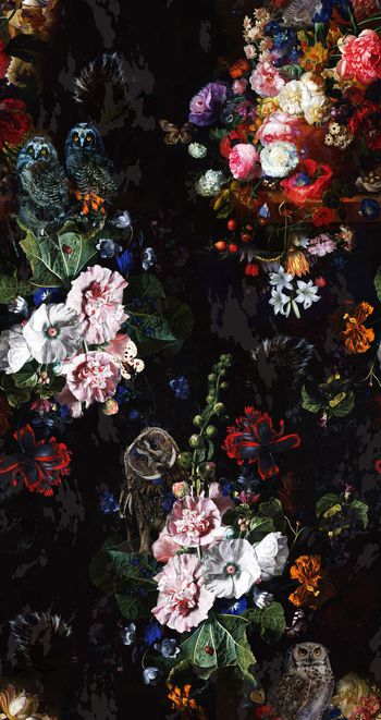 399224-油画猫头鹰