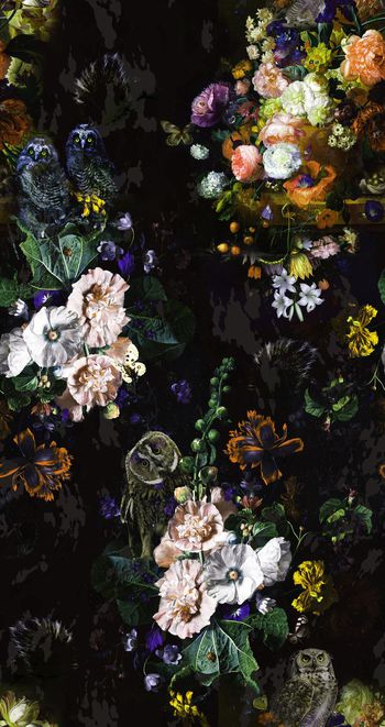 399225-油画猫头鹰