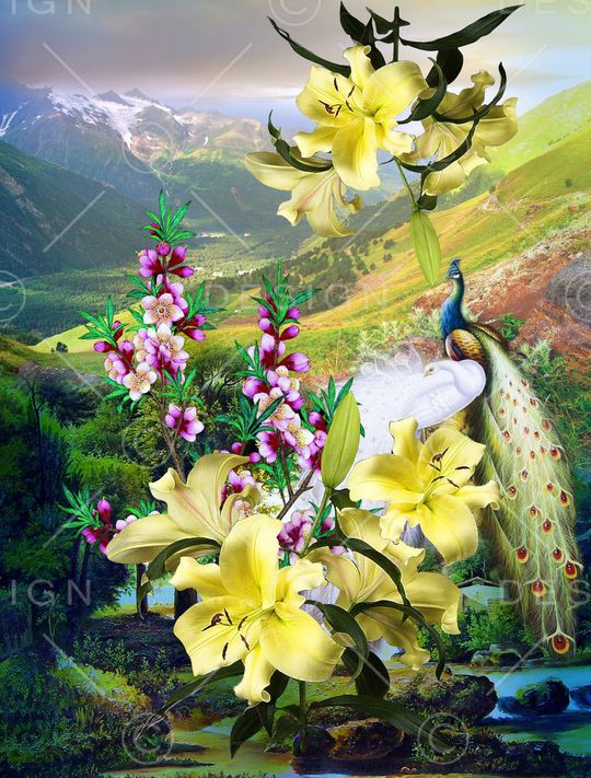 时尚绚丽印花华亿平台图片