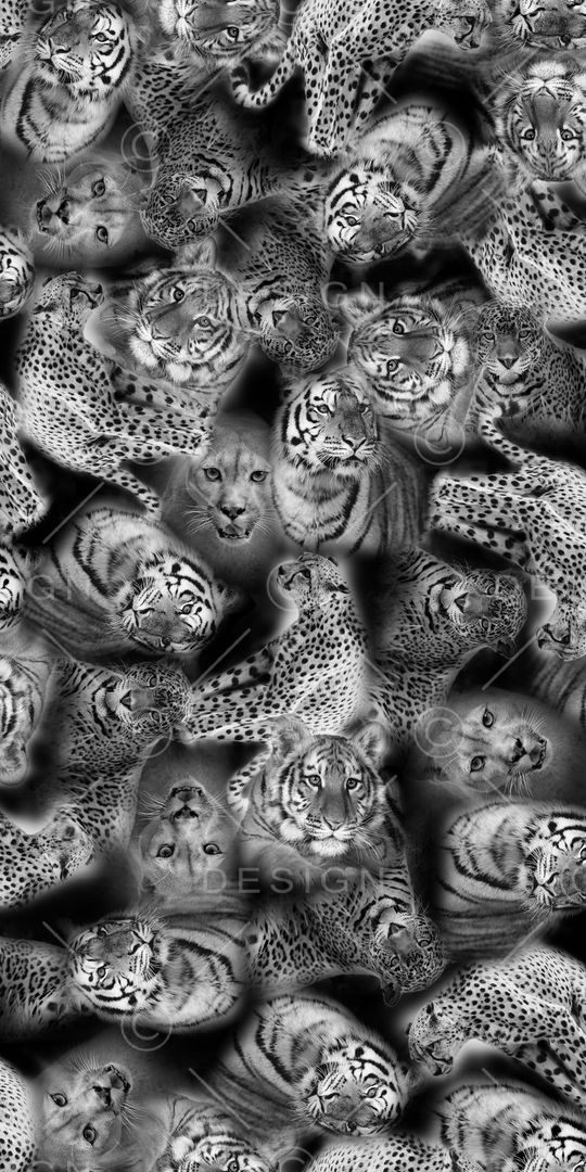 时尚印花华亿平台图片