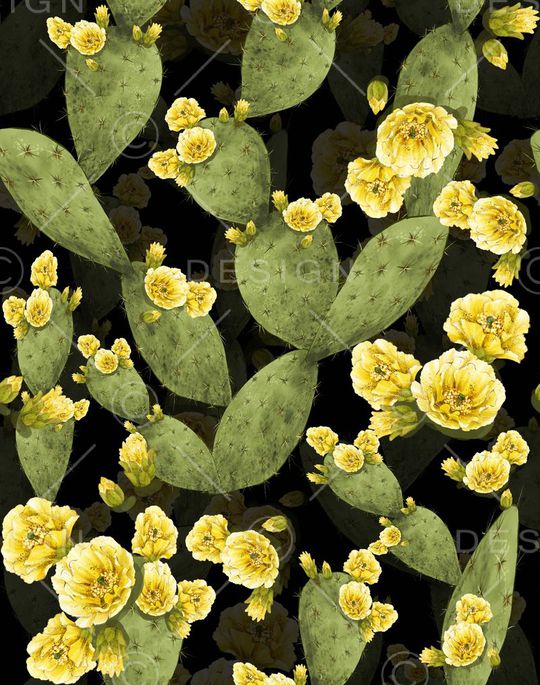 荆棘印花华亿平台图片