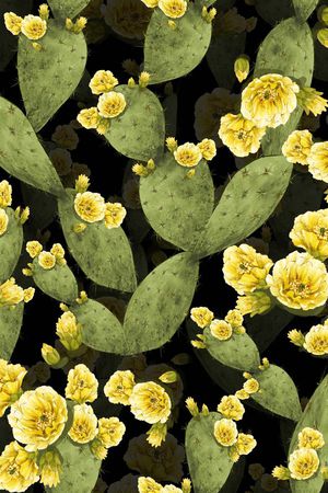 荆棘印花华亿平台图片