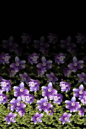 渐变印花华亿平台图片