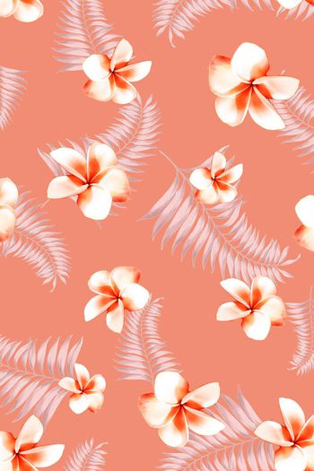 399613-热带鸡蛋花