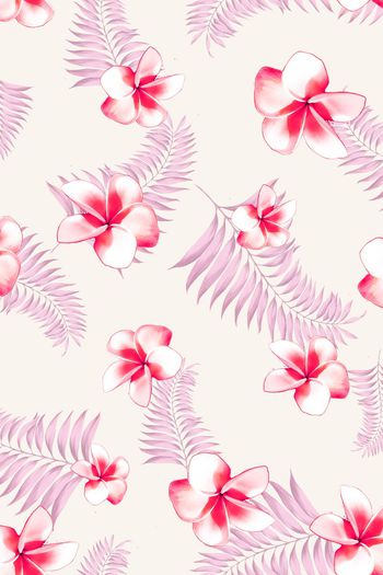 399615-热带鸡蛋花