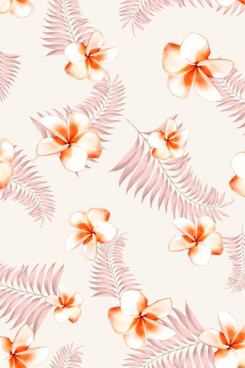 399616-热带鸡蛋花